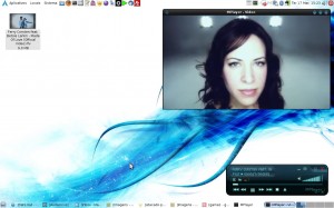 gnome Gnome n'est en fait qu'un «gestionnaire» pour Metacity